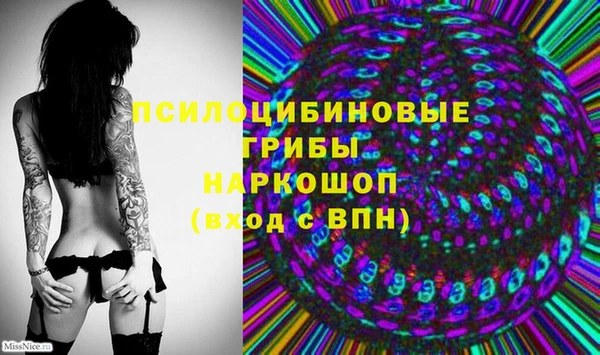 стаф Инсар