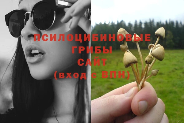 стафф Каменск-Шахтинский